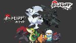 Pokemon: Black And White HD Wallpaper Background Image 1920x