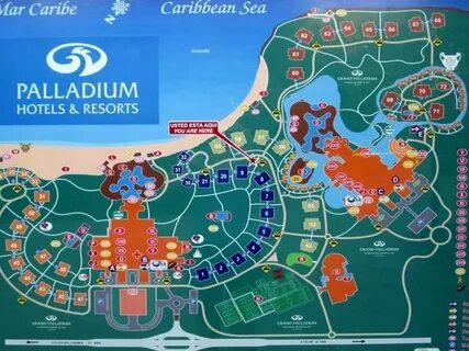 kriket Rozmanitost detekce map palladium riviera maya Tahiti