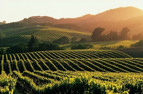 Napa Valley Wallpapers - 4k, HD Napa Valley Backgrounds on W