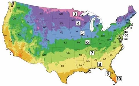 Planting Zones And Seasonal Gardening Guide GARDENS NURSERY