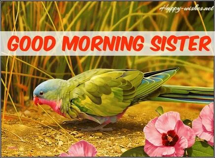 30 Good Morning Wishes for sister