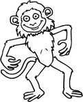 Maimuta vesela Animale de circ Educatie Copilul.ro