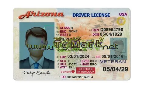 Arizona Driver License Template PSD Adobe Photoshop full ver