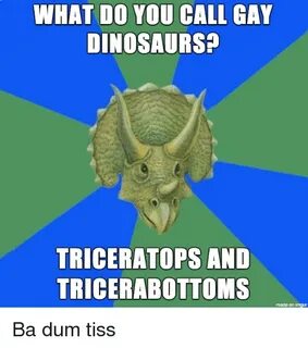 WHAT DO YOU CALL GAY DINOSAURS? TRICERATOPS AND TRICERABOTTO