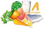 Variety of foods containing vitamin A 295028 Vector Art at V