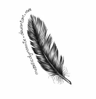 Feather Drawing - Crafthubs.