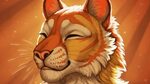 furry, Anthro, Tiger Wallpapers HD / Desktop and Mobile Back