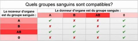 Sang Blog: Groupe Sanguin Qui Peut Recevoir De Tout Le Monde