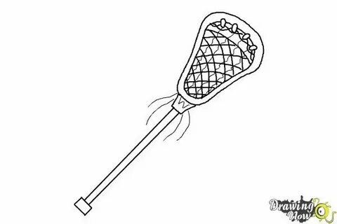 Lacrosse Stick Drawing - A modern lacrosse stick consists of