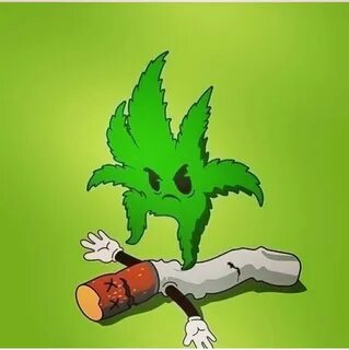 El Doble Seda on Twitter: "- tabaco + weed https://t.co/Md1u
