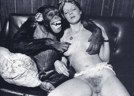 Chimp Eats Out Other Chimps Pussy " mostradelcavallo.eu