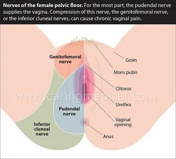 Pudendal Nerve Entrapment Syndrome: Under diagnosed and inap