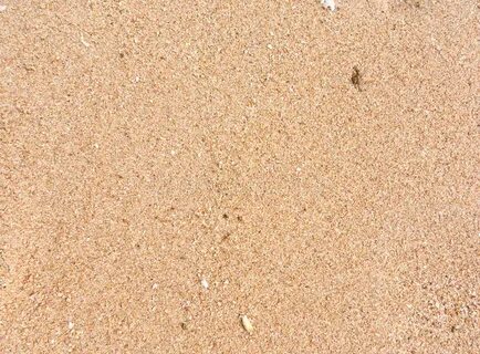 Wet sand stock image. Image of grains, holiday, texture - 50