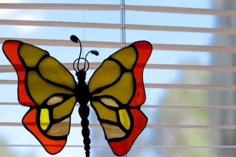 Free Images : wing, window, red, color, insect, yellow, mate