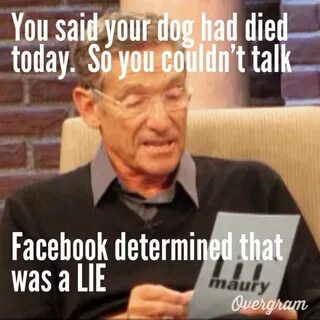 Maury povich Memes