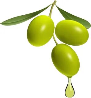 Olives PNG Image Olive oil packaging, Olive, Olive recipes