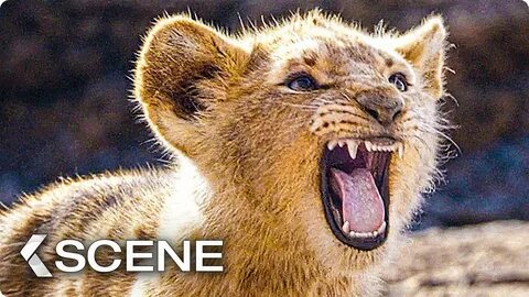 Baby Simba practice to Roar Scene - THE LION KING 2019) - Yo