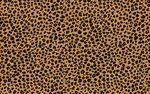 Leopard Skin Wallpapers - Wallpaper Cave