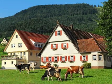 Familienfreundliche Ferienwohnung im Schwarzwald Bauernhof B