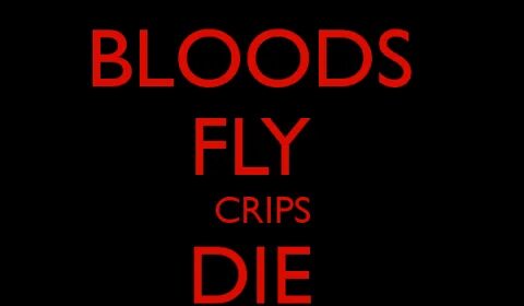Bloods Fly Crips Die Blood Gang Quotes QuotesBae