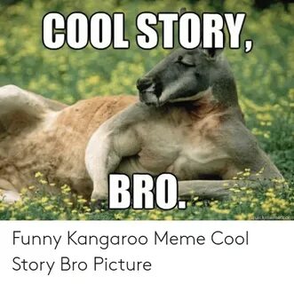 🐣 25+ Best Memes About Funny Kangaroo Funny Kangaroo Memes