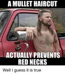 ✅ 25+ Best Memes About Mullet Haircut Mullet Haircut Memes