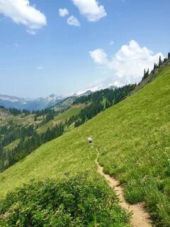 1824x2736px free download HD wallpaper: meadow, trail, mount