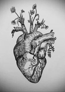 Фото тату сердце эскиз 04.02.2021 № 0002 - heart tattoo sket