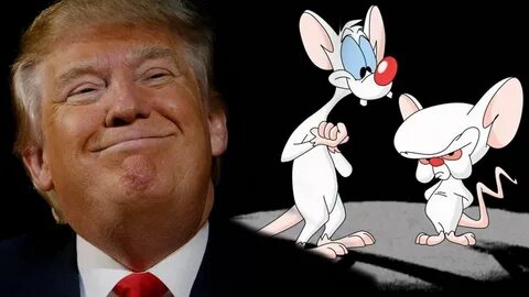 Pictures Of Pinky And The Brain posted by Christopher Cunnin