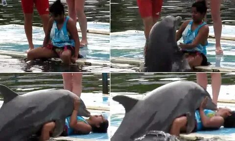 Caught on Video: Hilarious moment an amorous dolphin leaped 