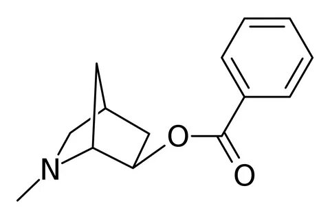 6R)-2-methyl-2-azabicyclo(2.2.1)heptan-6-yl_benzoate.svg - W
