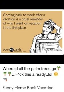 ✅ 25+ Best Memes About Back From Vacation Meme Back From Vac