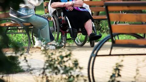 Old people talking sitting on bench. Disabled grandma having