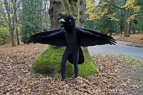 Raven Costume V Diy halloween costumes, Homemade fancy dress