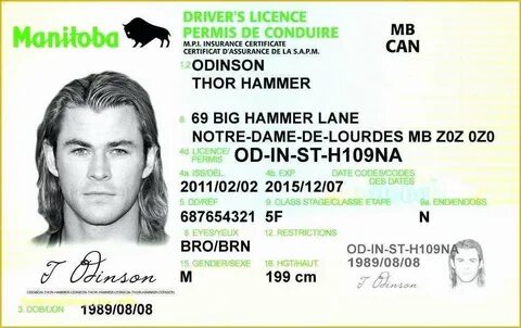 Free Fake Id Templates Online Of Driver License Template Pho