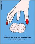 Why Do We Grab Life By The Balls? UR News 24