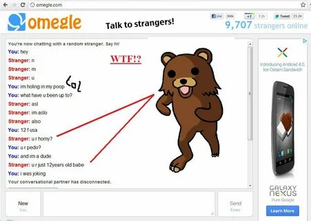 omegle pedobear