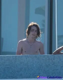 Timothee Chalamet Erect Cock Pics & Nude Gay Videos - Men Ce