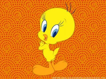 Tweety Wallpapers - Wallpaper Cave