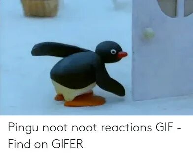 🐣 25+ Best Memes About Pingu Noot Pingu Noot Memes