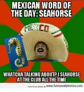 MEXICAN WORD OF THE DAY SEAHORS WHATCHATALKING ABOUTPI SEAHO