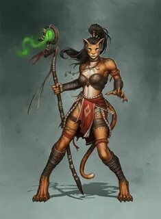 Tabaxi Dnd Female Related Keywords & Suggestions - Tabaxi Dn