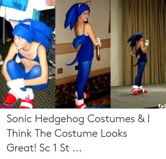 🐣 25+ Best Memes About Sonic Costume Meme Sonic Costume Meme