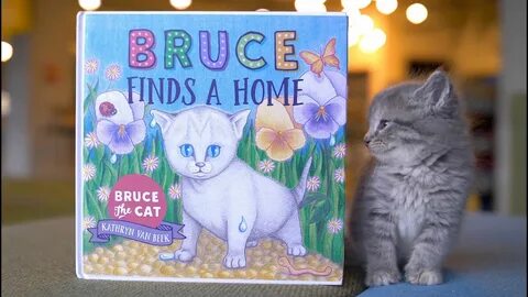 #39;Bruce Finds A Home' is a children's book based o