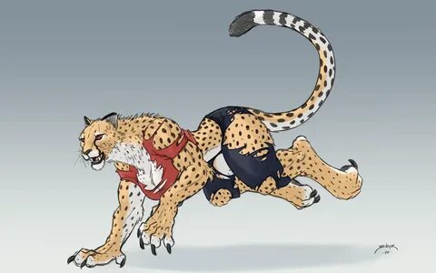 Cheetahs as pets/cheetah conservation - /an/ - Animals & Nat