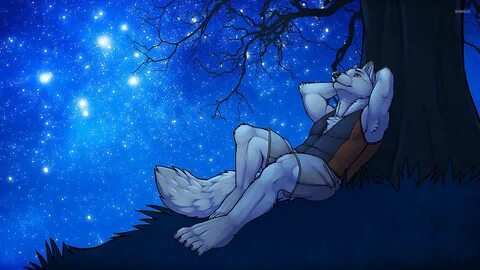 Romantic werewolf gazing at the starry sky wallpaper - Fanta