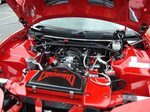 engine bay painting - LS1TECH - Camaro and Firebird Forum Di