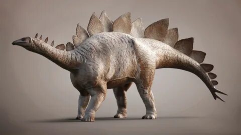 ArtStation - Stegosaurus 3D model