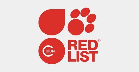 Mark Mitchell IUCN Red List