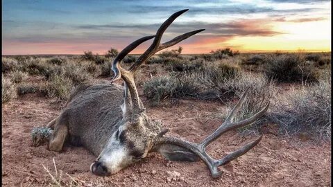 Antler Trader